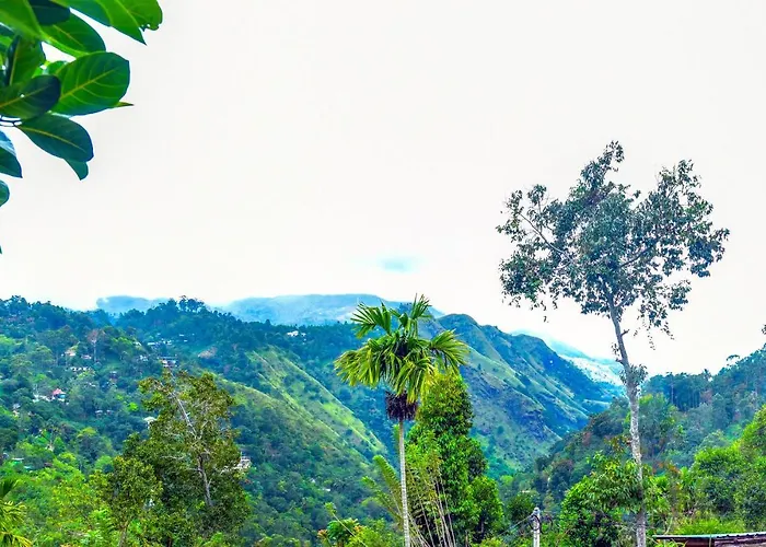 Ella Nimal Nest Inn