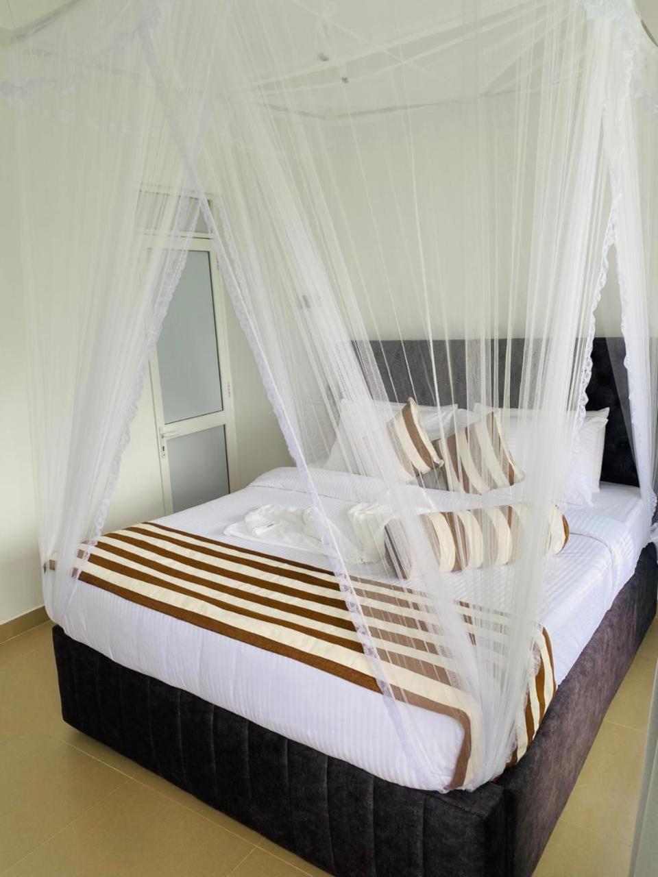 Nimal Nest Ella